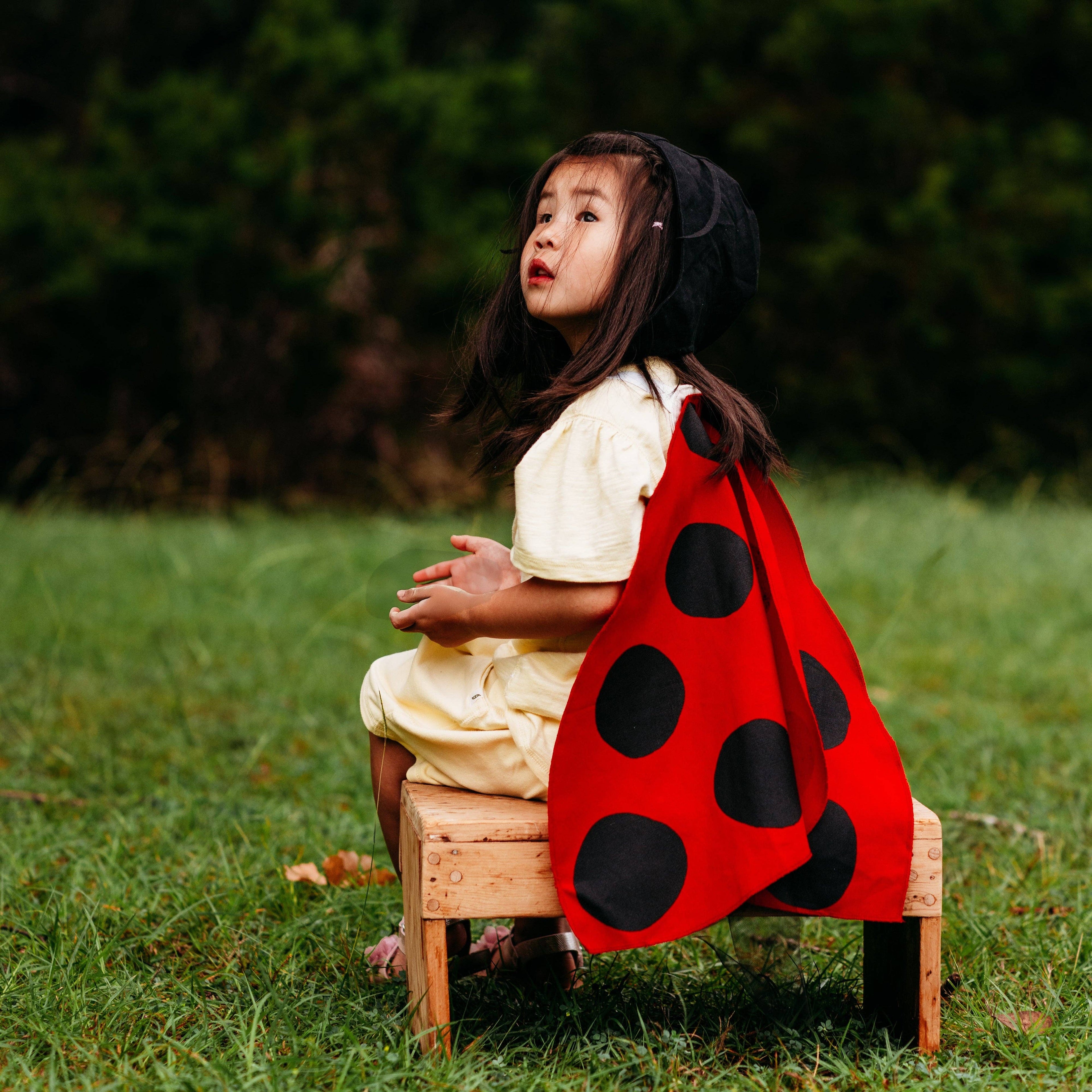 Jack Be Nimble Ladybird Wings Costume