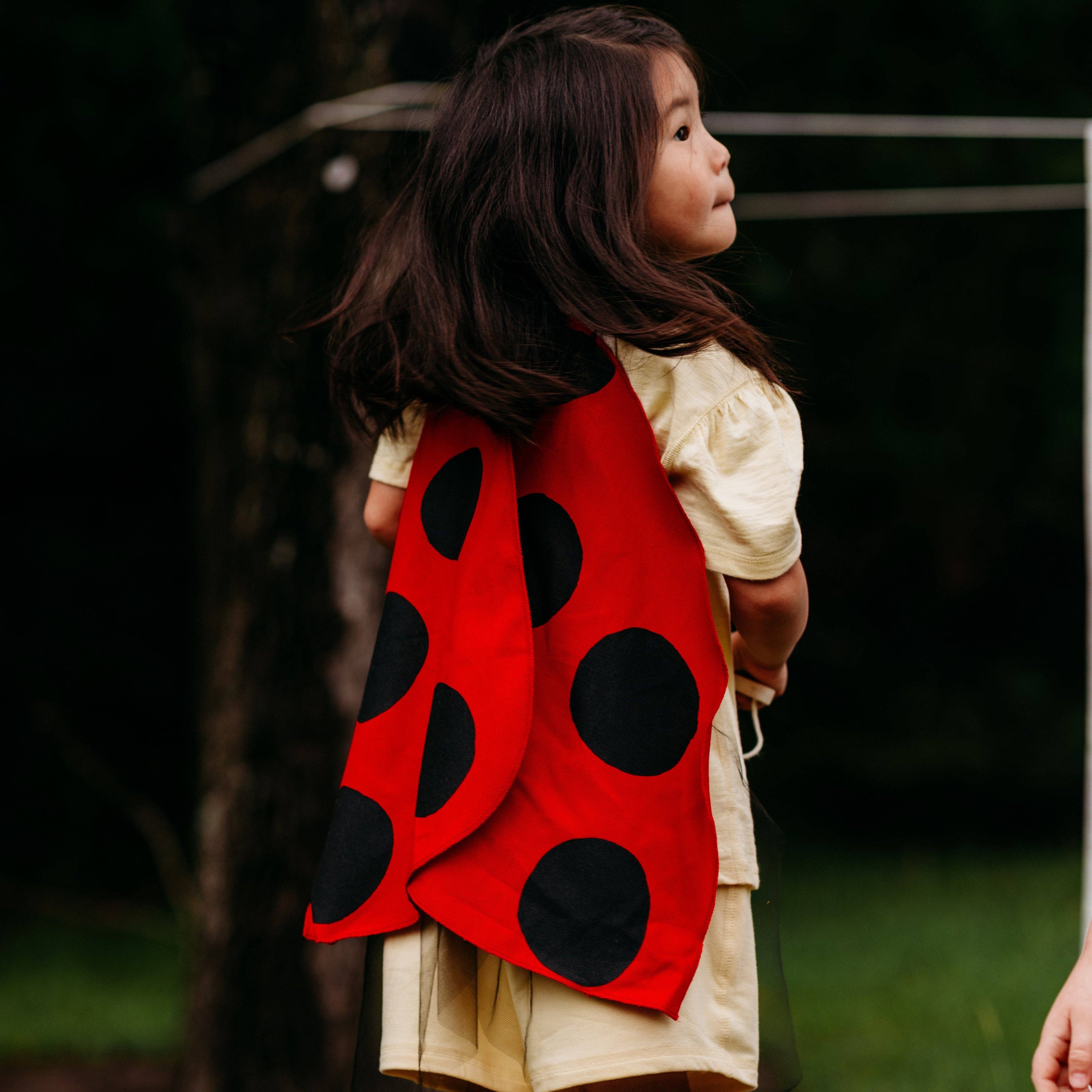 Jack Be Nimble Ladybird Wings Costume