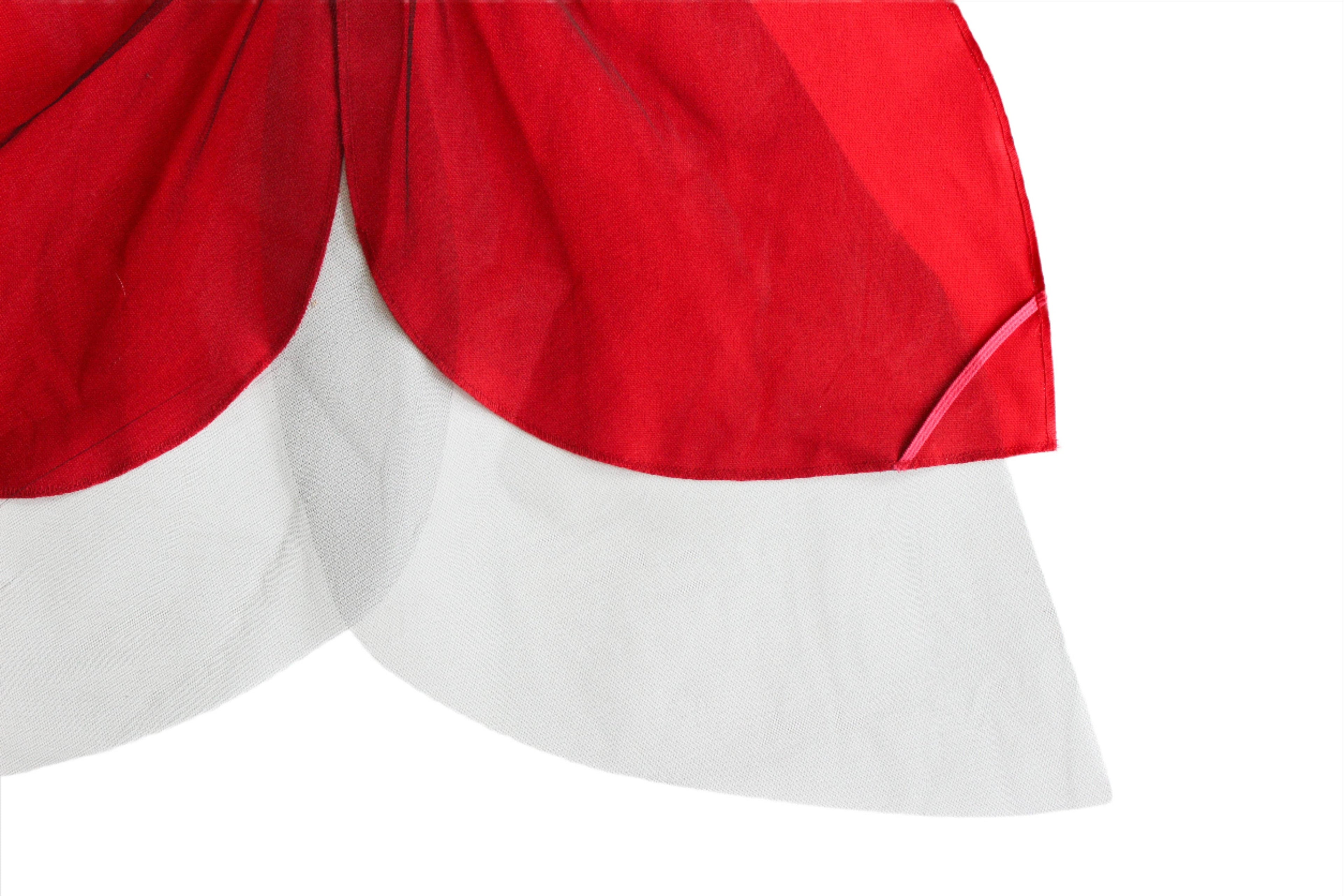 Jack Be Nimble Ladybird Wings Costume