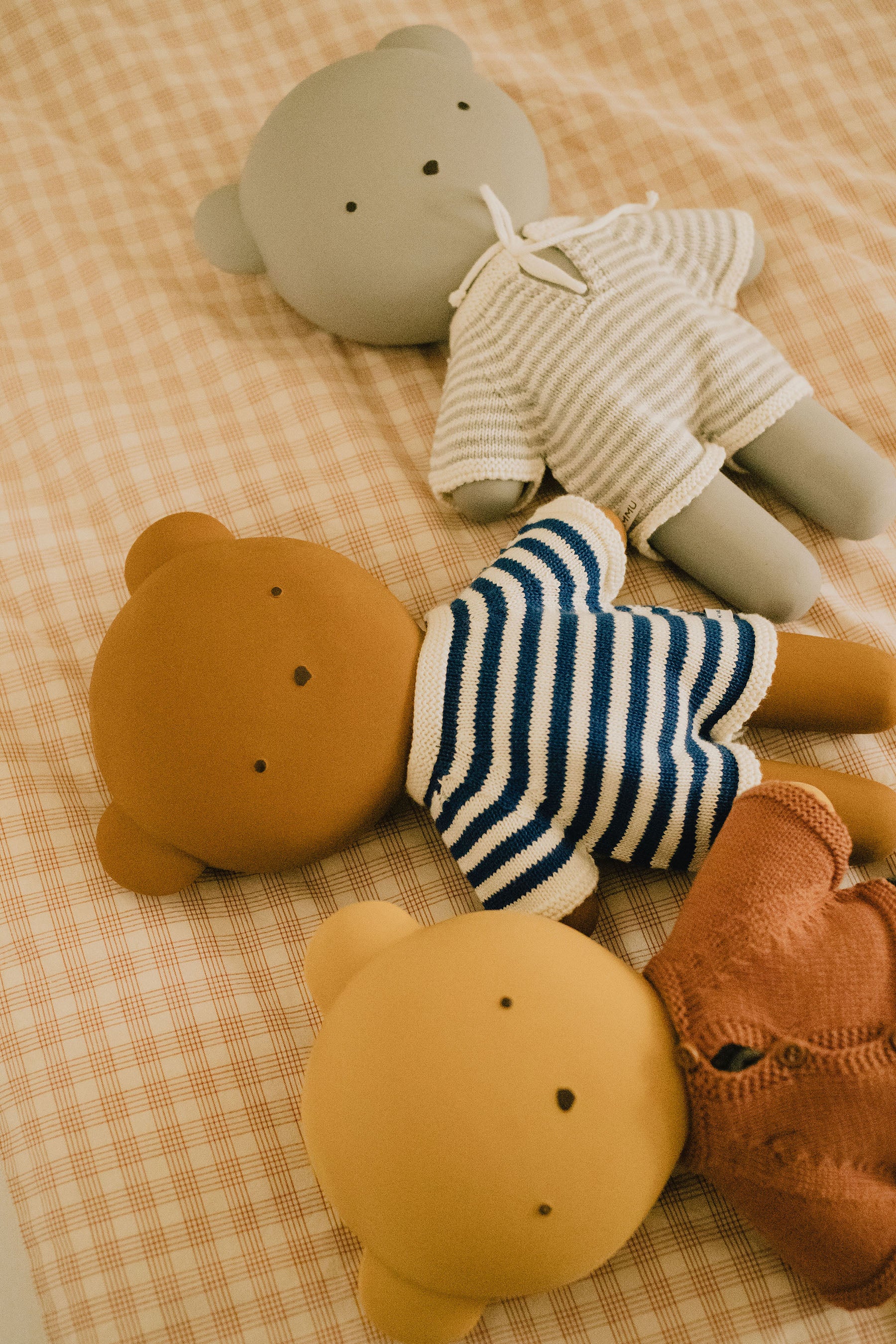 We Are Gommu - Bear Ocean